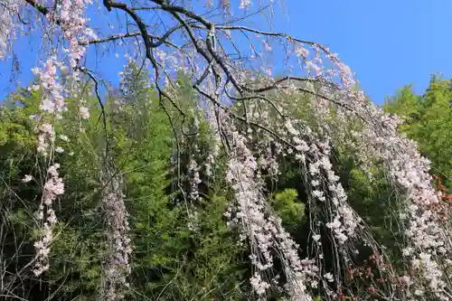 延命寺の庭園