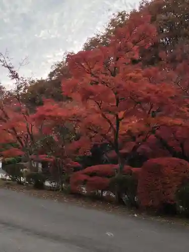 陽林寺(福島県)