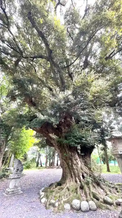 阿自賀神社(三重県)