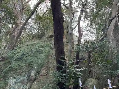 立石神社の{uncategorized: "未分類", other: "その他", undefined: "問題あり", building: "その他建物", grave: "お墓", sacred_gate: "鳥居", guardian: "狛犬", statue: "像", buddha: "仏像", history: "歴史", nature: "自然", garden: "庭園", animal: "動物", pagoda: "塔", temizu: "手水舎", mountain_gate: "山門・神門", sanctuary: "本殿・本堂", subordinate: "末社・摂社", art: "芸術", scenery: "景色", jizo: "地蔵", ema: "絵馬", goshuin: "御朱印", omikuji: "おみくじ", items: "授与品その他", amulet: "お守り", goshuincho: "御朱印帳", eats: "食事", festival: "お祭り", votive_dance: "神楽", shichigosan: "七五三参", wedding: "結婚式", experience: "体験その他", initially: "初詣", around: "周辺", anti_infection: "感染症対策"}