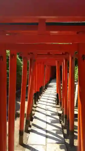 根津神社の鳥居