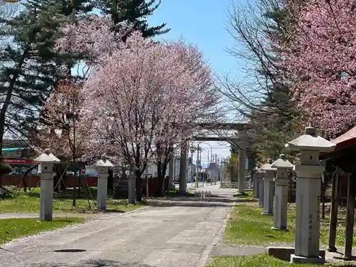 帯廣神社の鳥居