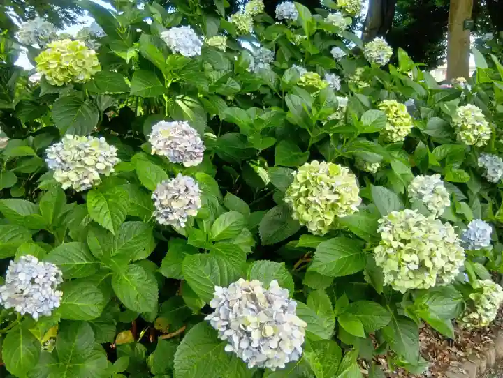 性海寺(愛知県)