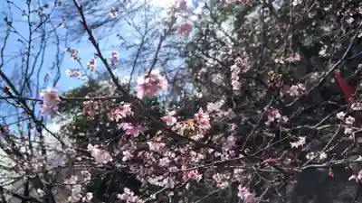 平野神社(京都府)
