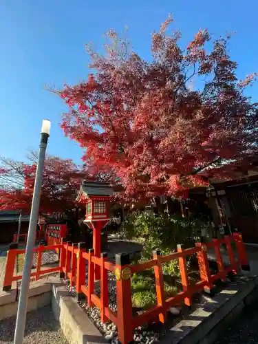車折神社の{uncategorized: "未分類", other: "その他", undefined: "問題あり", building: "その他建物", grave: "お墓", sacred_gate: "鳥居", guardian: "狛犬", statue: "像", buddha: "仏像", history: "歴史", nature: "自然", garden: "庭園", animal: "動物", pagoda: "塔", temizu: "手水舎", mountain_gate: "山門・神門", sanctuary: "本殿・本堂", subordinate: "末社・摂社", art: "芸術", scenery: "景色", jizo: "地蔵", ema: "絵馬", goshuin: "御朱印", omikuji: "おみくじ", items: "授与品その他", amulet: "お守り", goshuincho: "御朱印帳", eats: "食事", festival: "お祭り", votive_dance: "神楽", shichigosan: "七五三参", wedding: "結婚式", experience: "体験その他", initially: "初詣", around: "周辺", anti_infection: "感染症対策"}