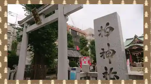 柏神社(千葉県)