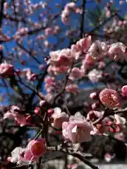 松本山　地福禅寺(滋賀県)