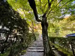 寂光院(京都府)