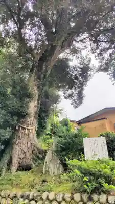 日枝神社(静岡県)