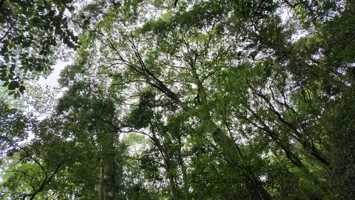 出雲大神宮の自然