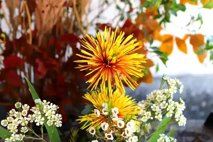 三津厳島神社の自然