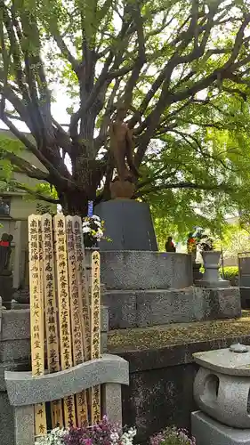 回向院(東京都)
