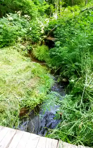 上南部水神宮の周辺