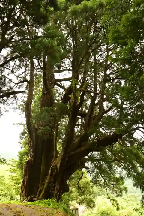 五所神社(徳島県)