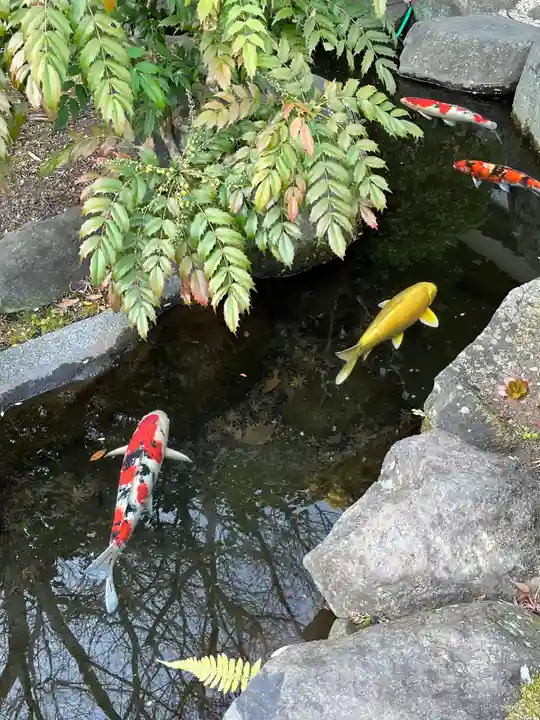 長谷寺(神奈川県)