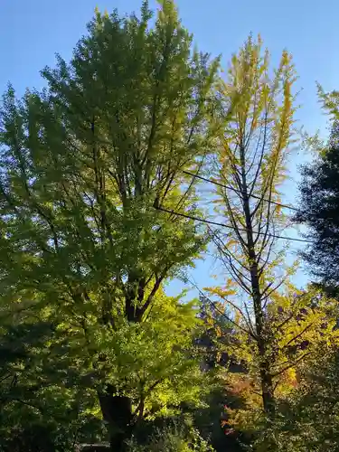 観音寺(岡山県)