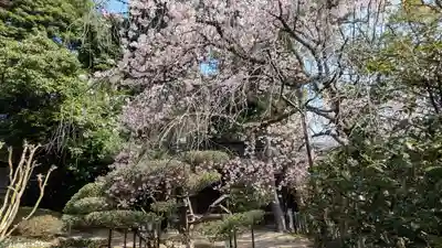 向日神社(京都府)