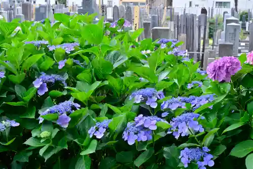 宝祥寺(東京都)