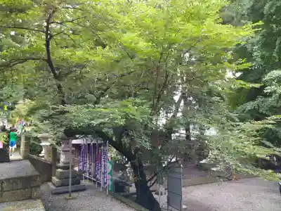 下野 星宮神社のその他建物