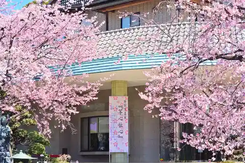 密藏院(埼玉県)