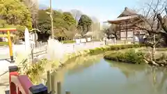 瀧泉寺（目黒不動尊）(東京都)