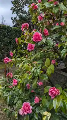 正法寺(京都府)