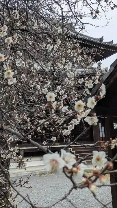 満願寺(京都府)