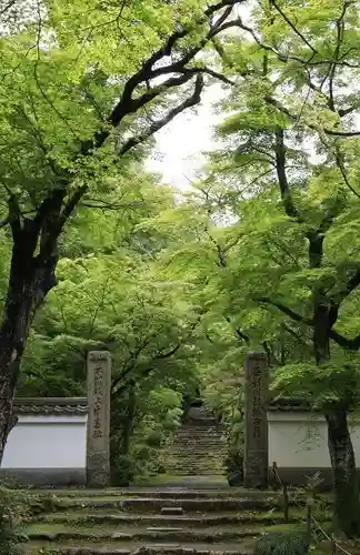 浄住寺の山門・神門