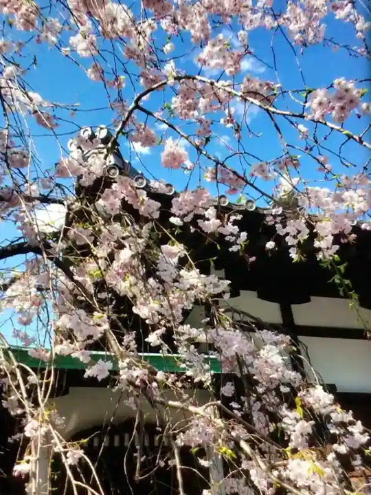 玄国寺(東京都)