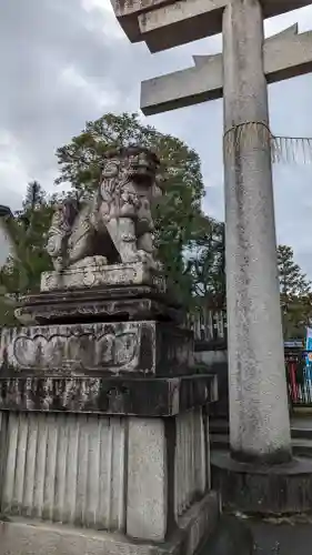 敷地神社（わら天神宮）の狛犬