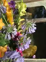 高司神社〜むすびの神の鎮まる社〜(福島県)