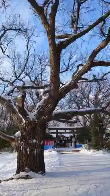 相馬神社(北海道)