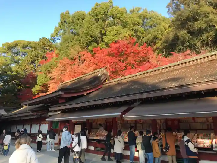 太宰府天満宮(福岡県)