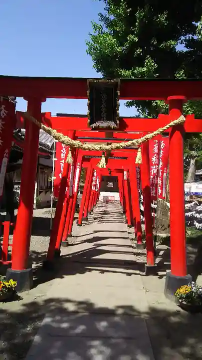 於菊稲荷神社の鳥居