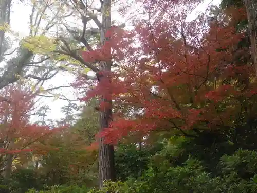 鶴岡八幡宮の自然