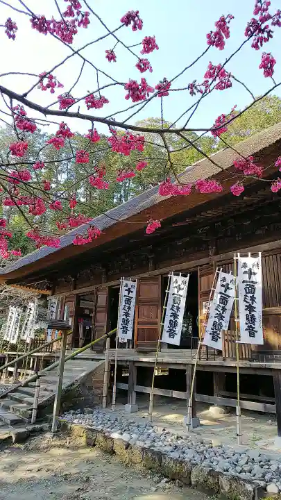 杉本寺の本殿・本堂