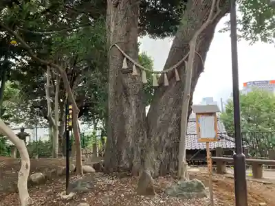 八景天祖神社(東京都)