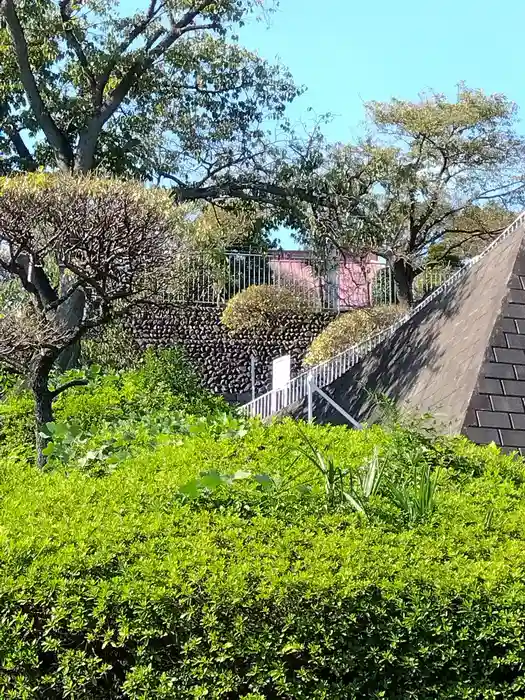 長楽寺の建物その他