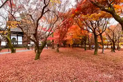 東福禅寺(東福寺)(京都府)
