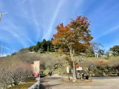 宝登山神社奥宮(埼玉県)