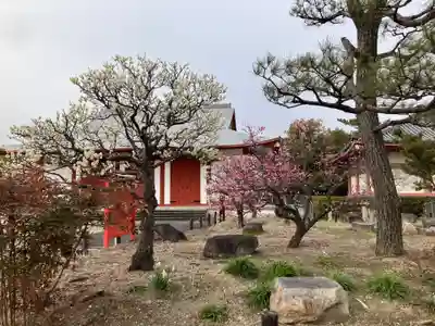 唐招提寺(奈良県)