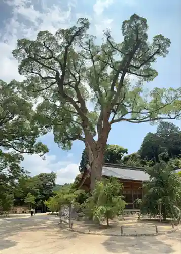 宝満宮竈門神社(福岡県)