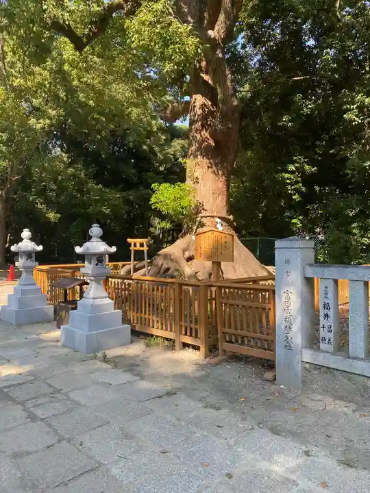 和泉國一之宮 大鳥大社の自然