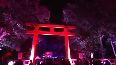 賀茂御祖神社(下鴨神社)の鳥居