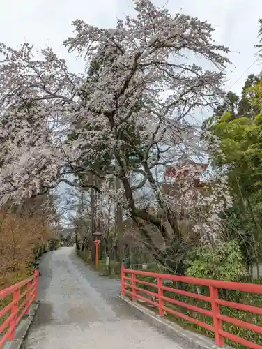 正法寺(京都府)