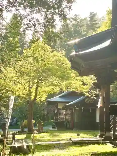 蚊里田八幡宮の{uncategorized: "未分類", other: "その他", undefined: "問題あり", building: "その他建物", grave: "お墓", sacred_gate: "鳥居", guardian: "狛犬", statue: "像", buddha: "仏像", history: "歴史", nature: "自然", garden: "庭園", animal: "動物", pagoda: "塔", temizu: "手水舎", mountain_gate: "山門・神門", sanctuary: "本殿・本堂", subordinate: "末社・摂社", art: "芸術", scenery: "景色", jizo: "地蔵", ema: "絵馬", goshuin: "御朱印", omikuji: "おみくじ", items: "授与品その他", amulet: "お守り", goshuincho: "御朱印帳", eats: "食事", festival: "お祭り", votive_dance: "神楽", shichigosan: "七五三参", wedding: "結婚式", experience: "体験その他", initially: "初詣", around: "周辺", anti_infection: "感染症対策"}