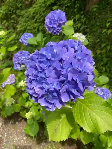 円覚寺(神奈川県)