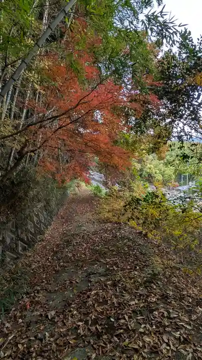 上花山旭稲荷神社(京都府)