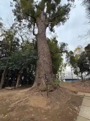眞福寺の{uncategorized: "未分類", other: "その他", undefined: "問題あり", building: "その他建物", grave: "お墓", sacred_gate: "鳥居", guardian: "狛犬", statue: "像", buddha: "仏像", history: "歴史", nature: "自然", garden: "庭園", animal: "動物", pagoda: "塔", temizu: "手水舎", mountain_gate: "山門・神門", sanctuary: "本殿・本堂", subordinate: "末社・摂社", art: "芸術", scenery: "景色", jizo: "地蔵", ema: "絵馬", goshuin: "御朱印", omikuji: "おみくじ", items: "授与品その他", amulet: "お守り", goshuincho: "御朱印帳", eats: "食事", festival: "お祭り", votive_dance: "神楽", shichigosan: "七五三参", wedding: "結婚式", experience: "体験その他", initially: "初詣", around: "周辺", anti_infection: "感染症対策"}