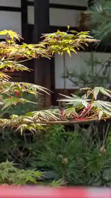 宝蔵寺(京都府)